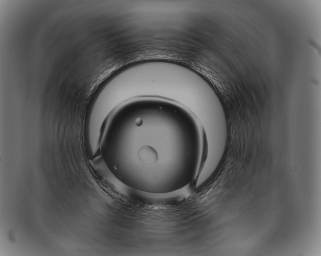 X0000097830352200804041426