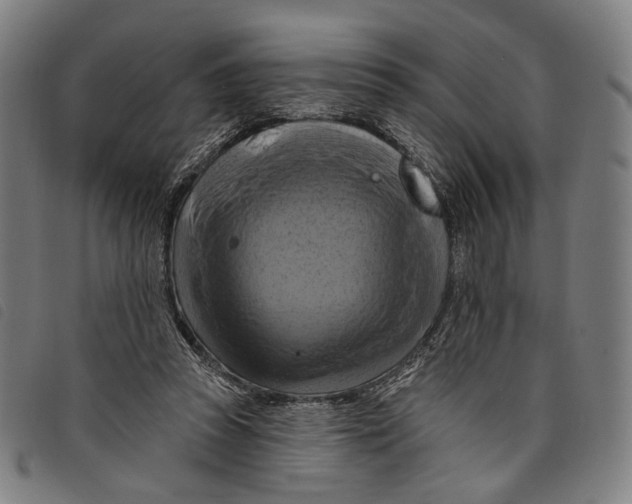 X0000097830353200804041426