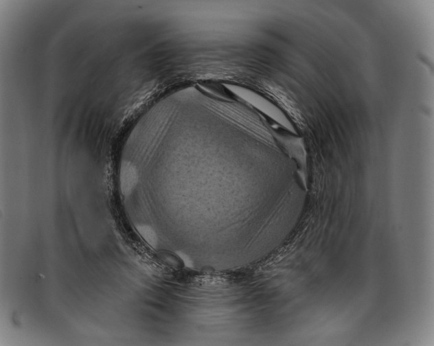 X0000097830354200804041426