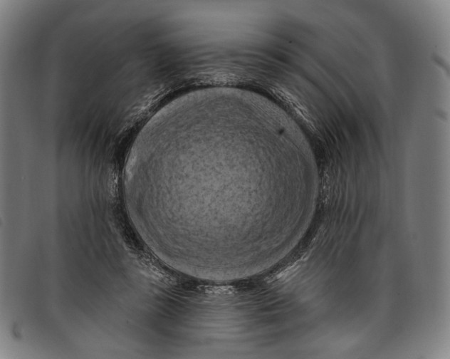 X0000097830355200804041426