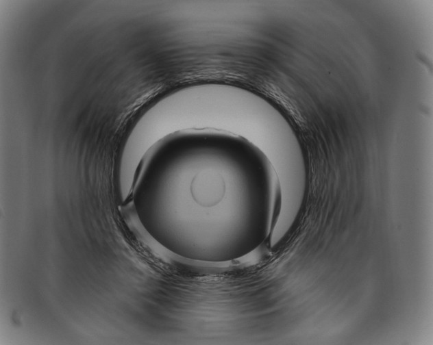 X0000097830356200804041426