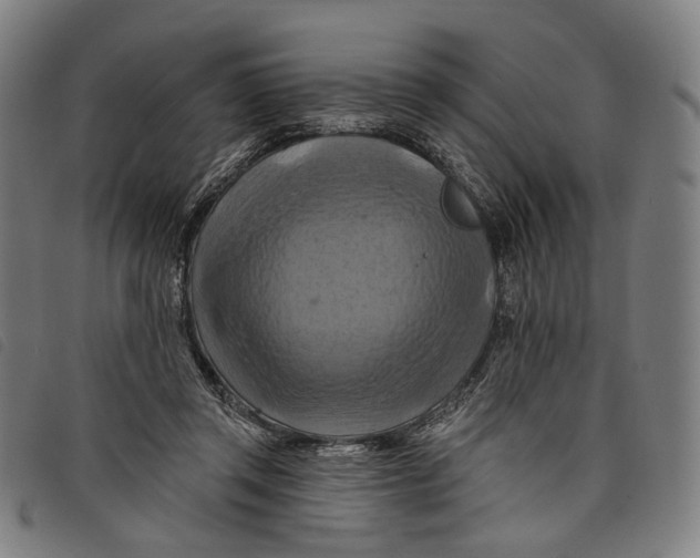 X0000097830357200804041426