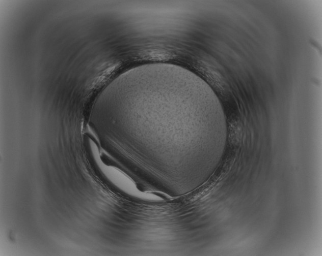 X0000097830358200804041426