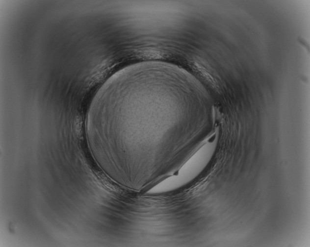 X0000097830359200804041426