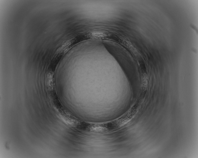 X0000097830360200804041426