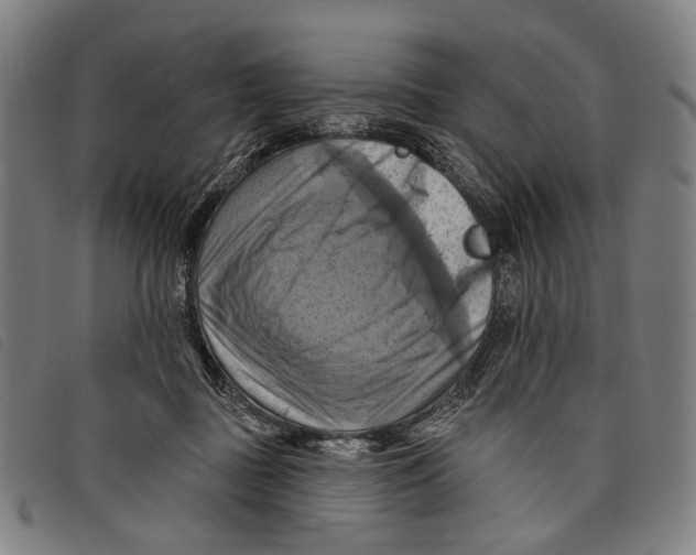 X0000097830363200804041426