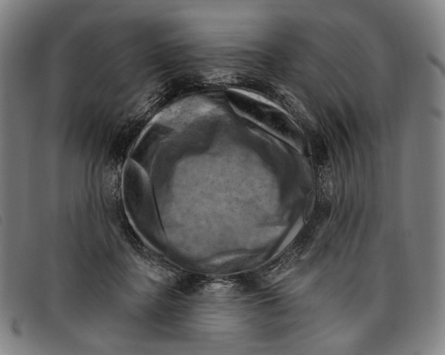 X0000097830364200804041426