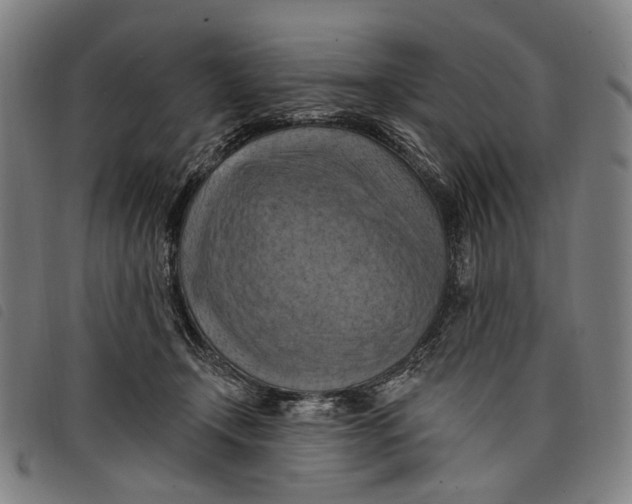 X0000097830366200804041426