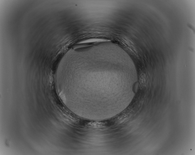 X0000097830367200804041426