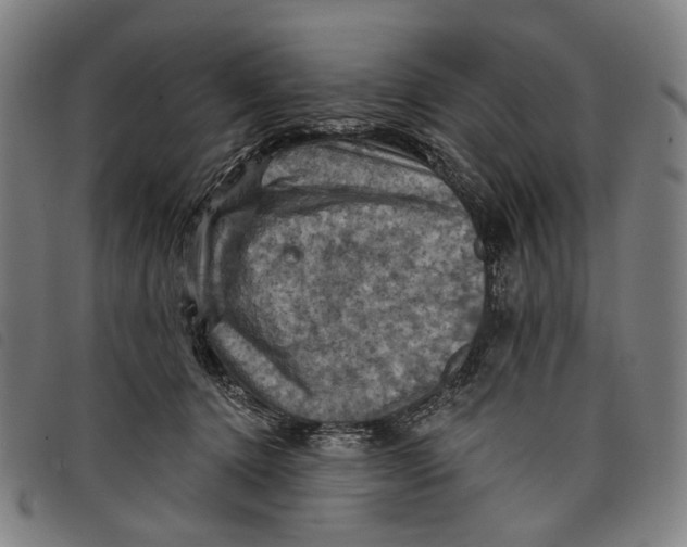 X0000097830368200804041426