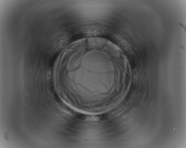 X0000097830369200804041426