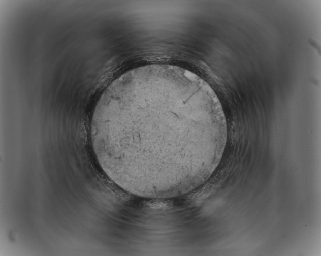 X0000097830370200804041426