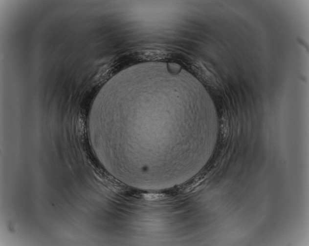 X0000097830371200804041426