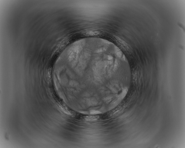 X0000097830373200804041426