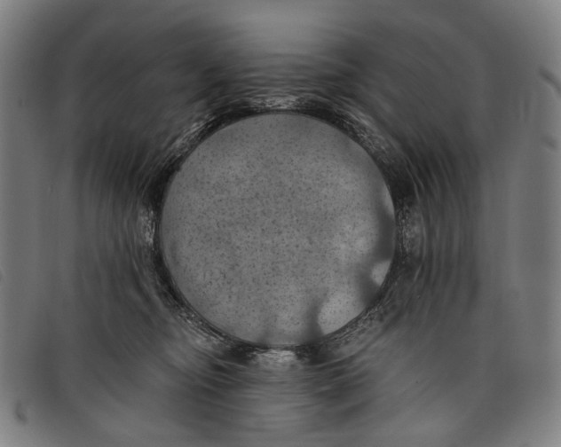 X0000097830374200804041426