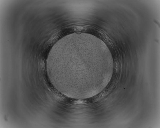 X0000097830375200804041426