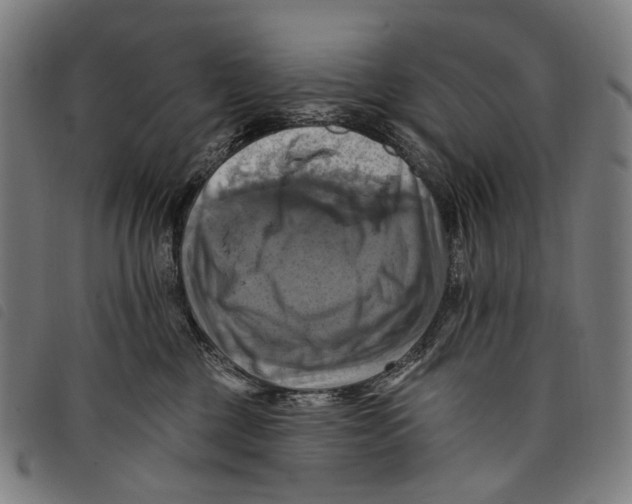 X0000097830377200804041426