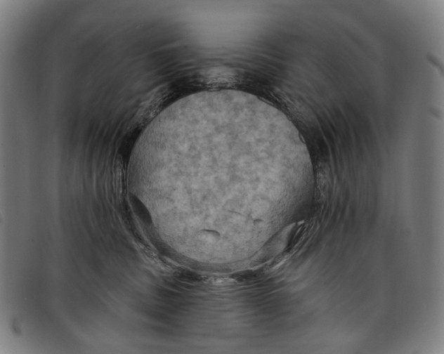 X0000097830379200804041426