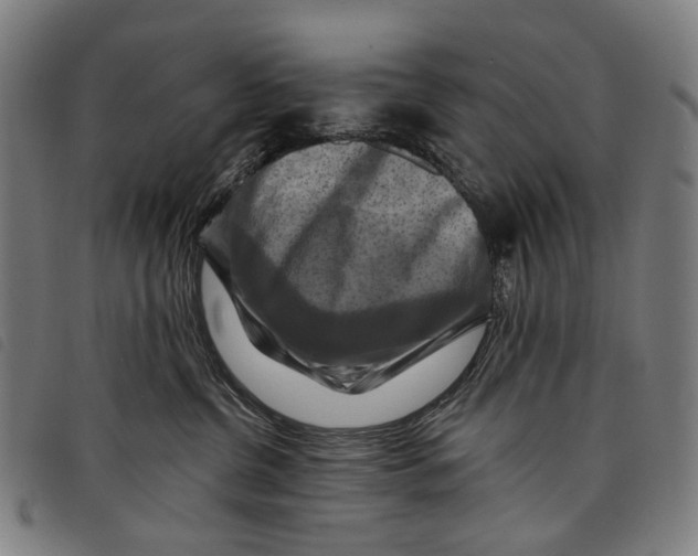 X0000097830380200804041426