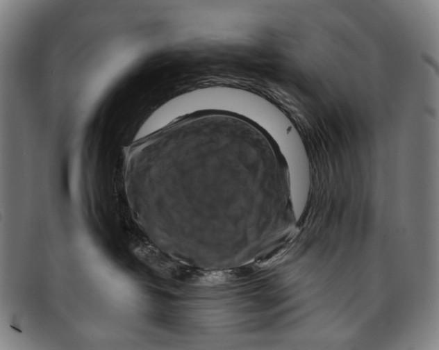 X0000097830382200804041426