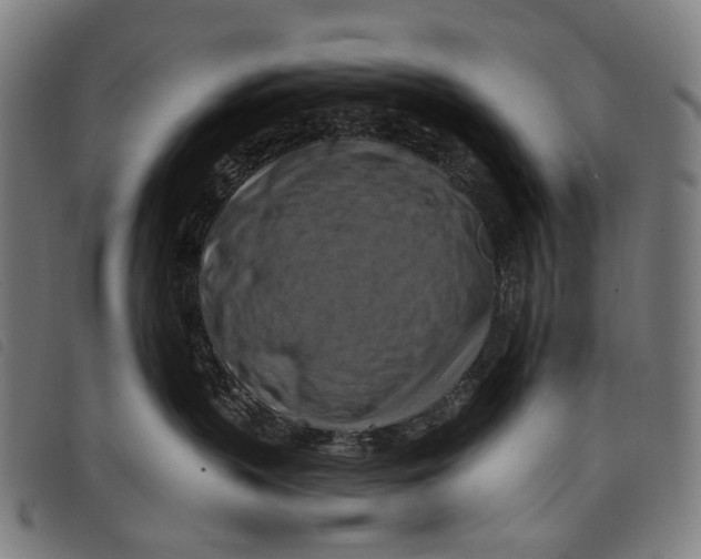 X0000097830383200804041426