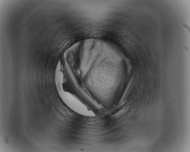 X0000097830384200804041426