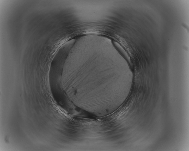 X0000097830385200804041426