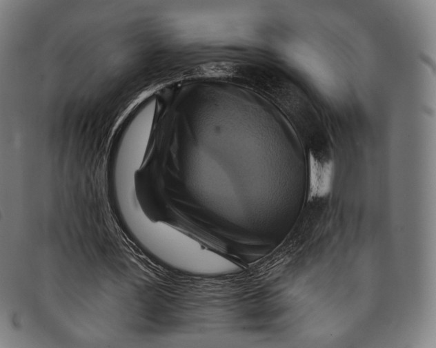 X0000097830387200804041426