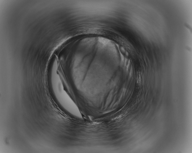 X0000097830388200804041426