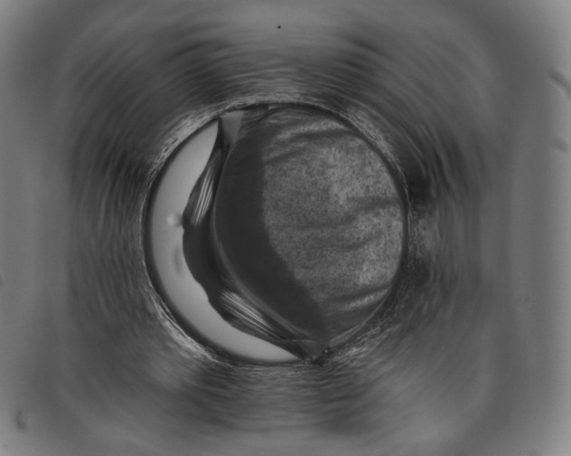 X0000097830389200804041426