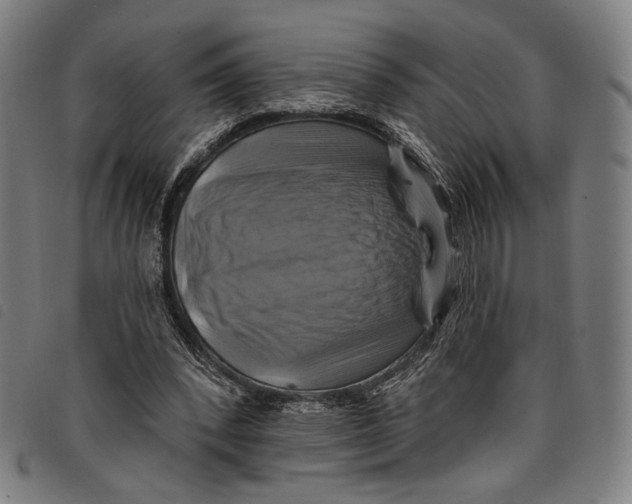 X0000097830392200804041426