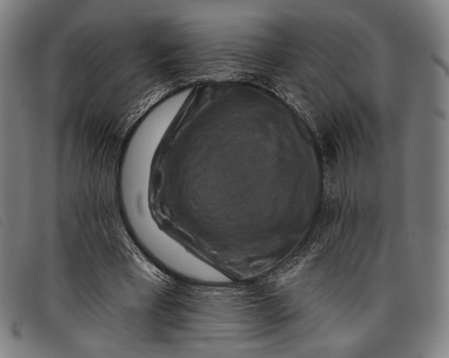 X0000097830393200804041425