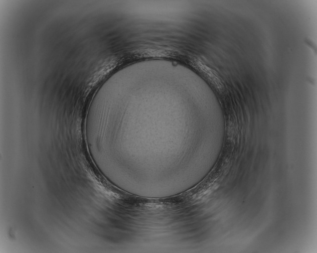 X0000097830394200804041425