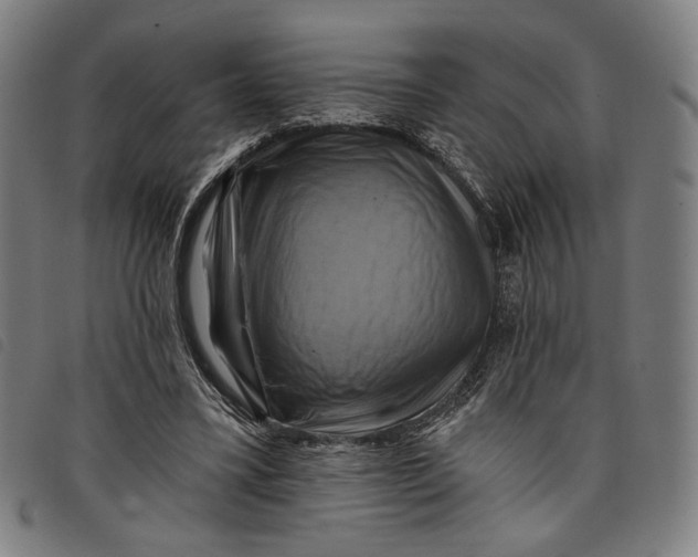 X0000097830395200804041425