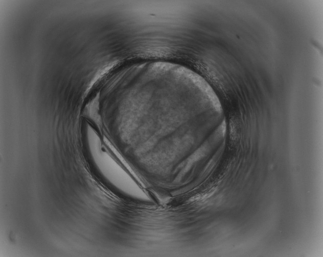 X0000097830396200804041425