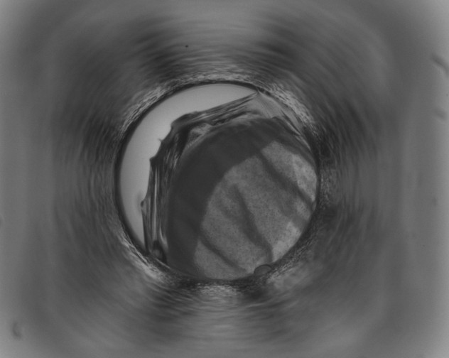 X0000097830397200804041425