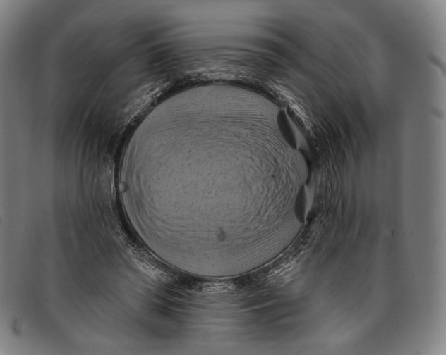 X0000097830398200804041425