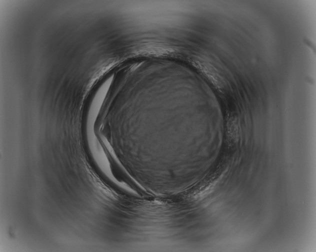 X0000097830399200804041425