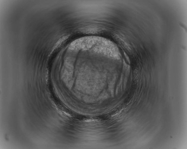 X0000097830400200804041425