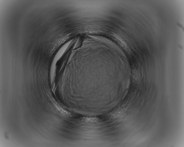 X0000097830401200804041425