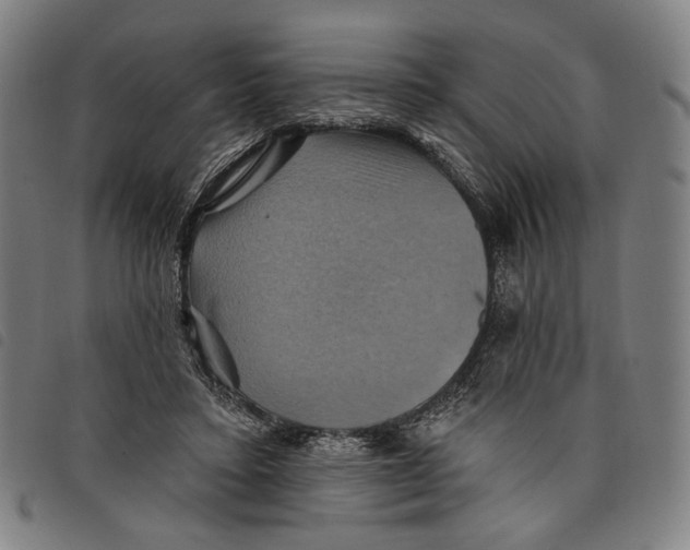 X0000097830403200804041425