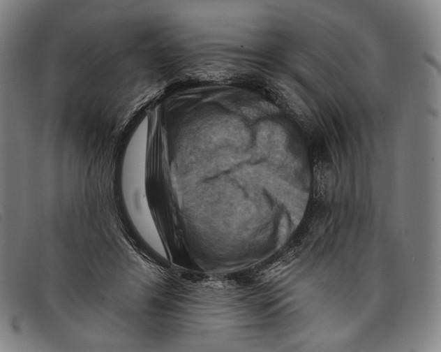 X0000097830404200804041425