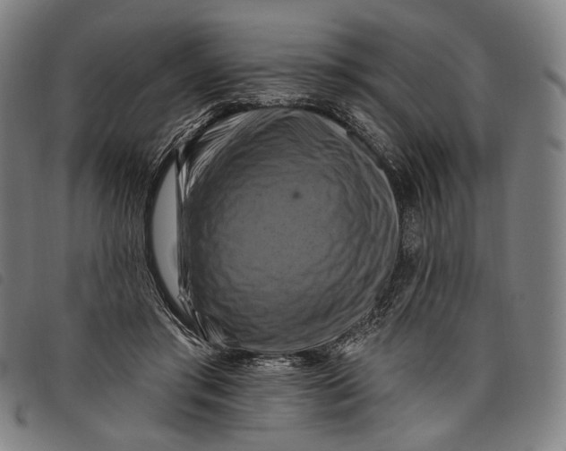 X0000097830405200804041425