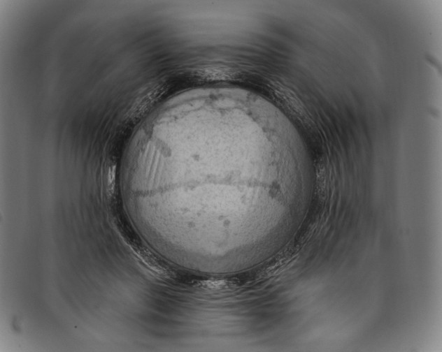 X0000097830406200804041425