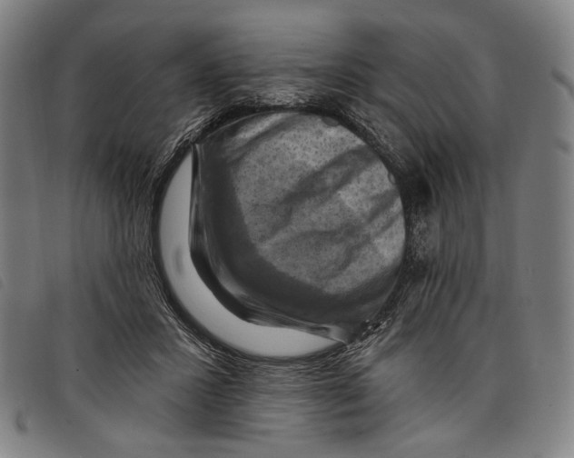 X0000097830407200804041425