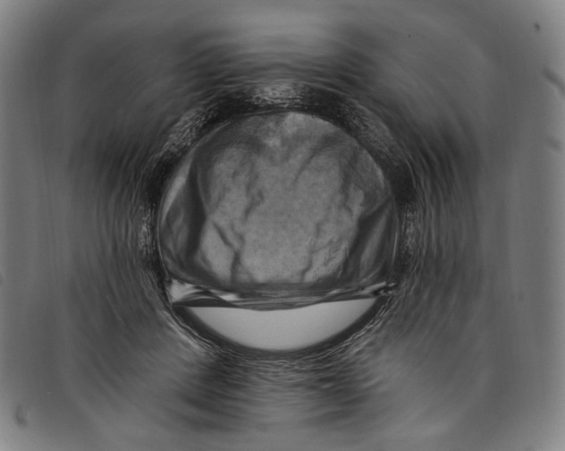 X0000097830408200804041425