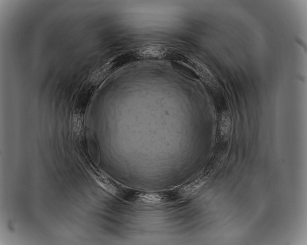 X0000097830409200804041425