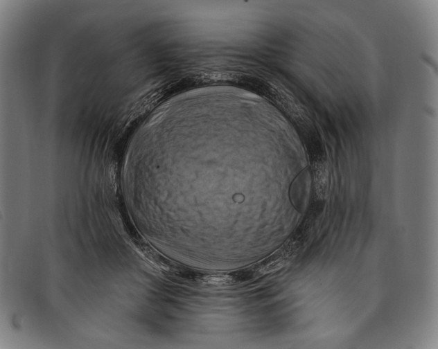 X0000097830410200804041425