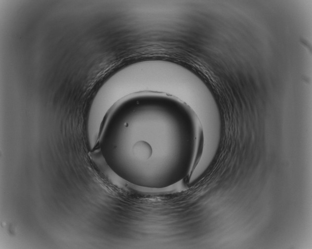 X0000097830411200804041425