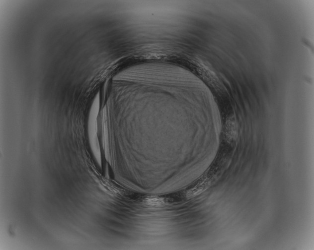 X0000097830413200804041425